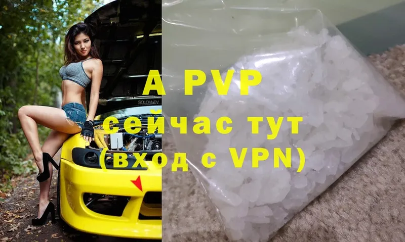 Alfa_PVP СК  Кувшиново 